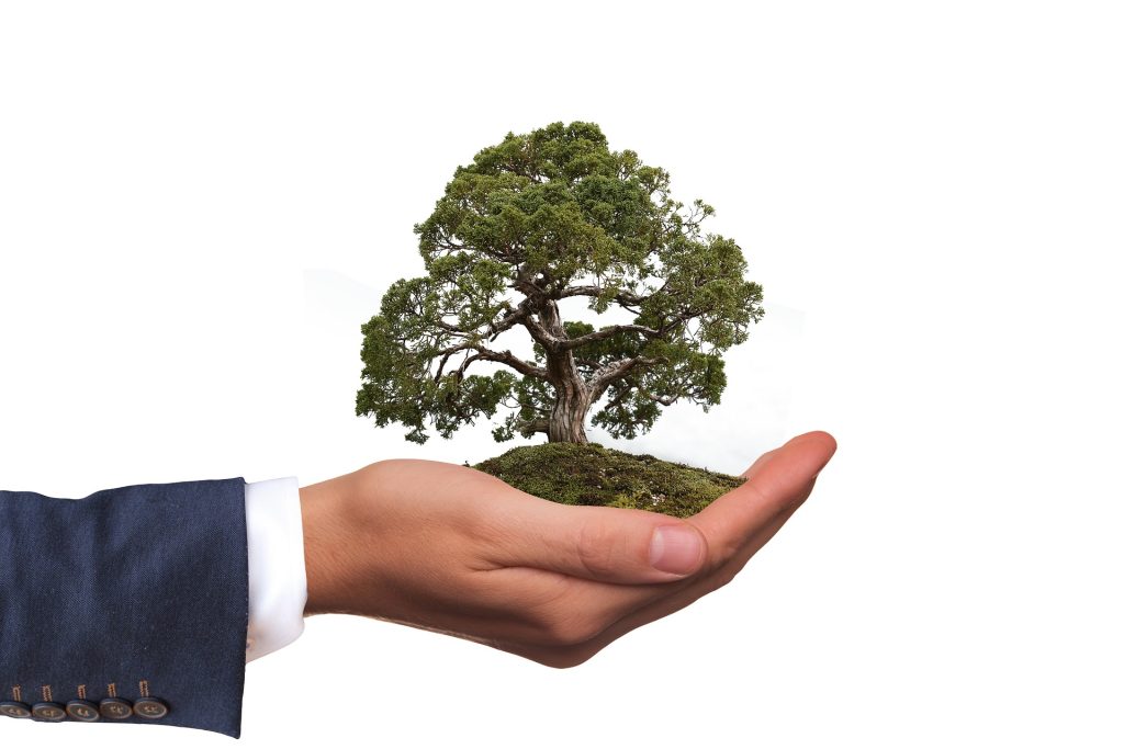 Formation - Responsabilité sociétale des entreprises